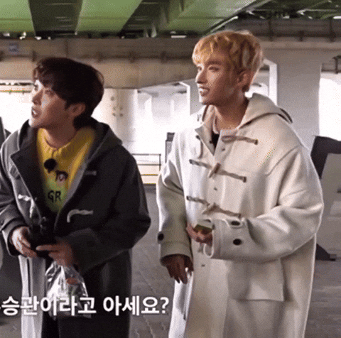 Boo Seungkwan Dk GIF