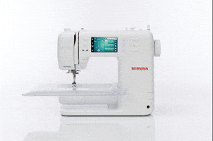 BERNINA International AG GIF