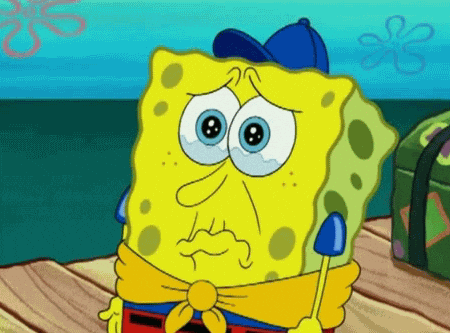 giphy.gif?cid=790b7611f006ddda7356a9583c