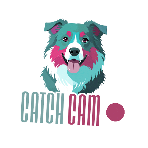 Dog Catch Sticker by Schichtwechsel GmbH