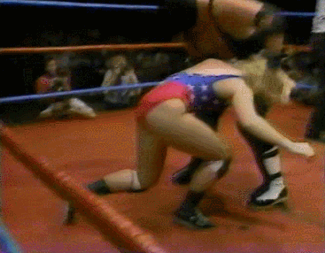 Wwe GIF