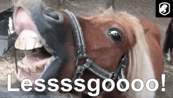 Horse Game GIF by :::Crypto Memes:::