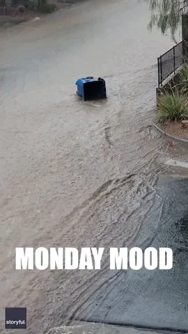 Monday Rain GIF