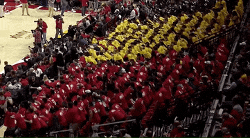 college basketball dancing GIF by Maryland Terrapins