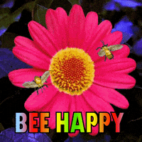 Be Happy Cheer Up GIF