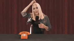 giphy.gif
