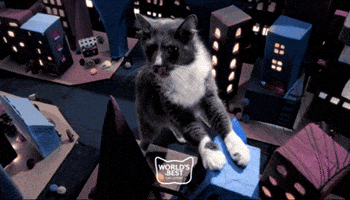 Catlove Worldsbest GIF by Worlds Best Cat Litter