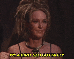 Im A Bird GIF