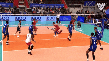 King Class GIF by Volleyball World
