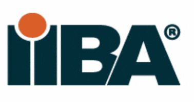 Businessanalyst GIF by IIBA