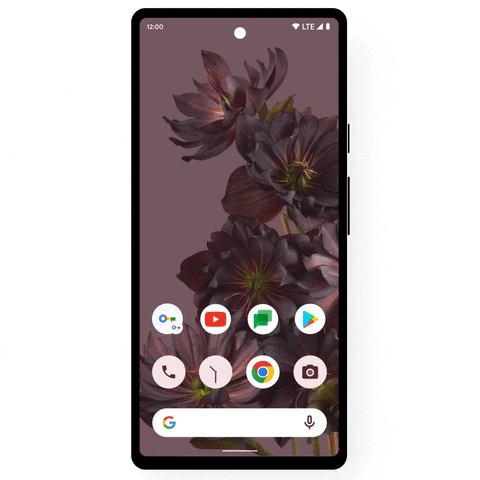 Chrome GIF