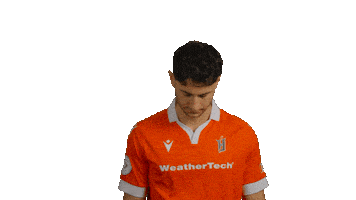 Forge Fc Sticker by Hamilton Sports Group