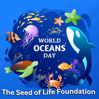 Happy World Ocean Day Gifs Get The Best Gif On Giphy Happy World Ocean Day Gifs Get The Best Gif On Giphy