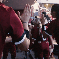 high five lets go GIF by gamecocksonline
