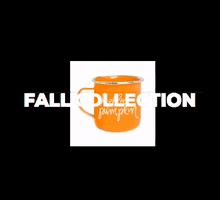 Fall Makeup GIF by Studio Chemistry LLC