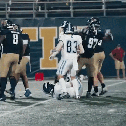Fiu Football GIF by FIU Panthers