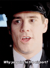 Jim Carrey Harry Dunne Gif By Dumb And Dumber To Find Share On Giphy Jim Carrey Harry Dunne Gif By Dumb And Dumber To Find Share On Giphy