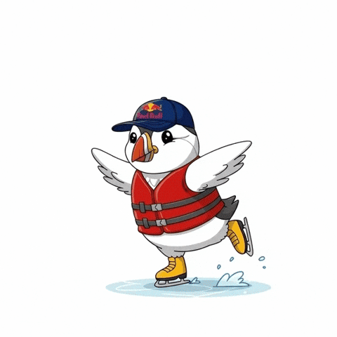 Animation Skating GIF by Puffins