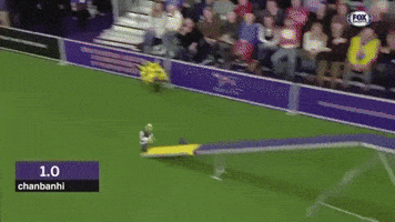 dog show running GIF