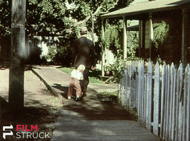 classic movies wtf GIF by FilmStruck