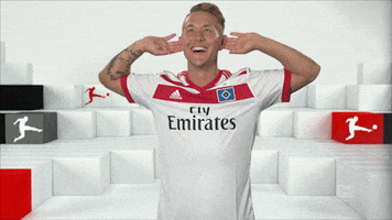 cant hear you hamburger sv GIF by Bundesliga