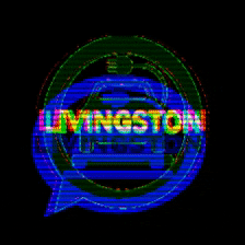 Livingston Energy Group, LLC GIF