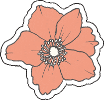 Spring Bloom Sticker by YOOLETTA