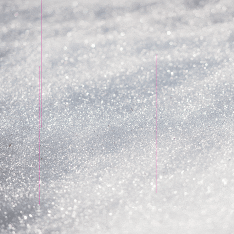 NASTY WOMAN WINES GIF