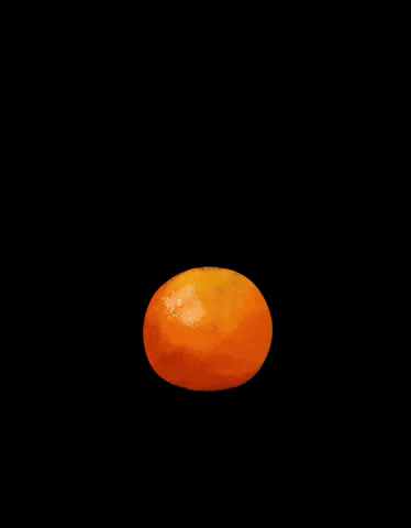 nkpcreate orange fruit citrus oranges GIF