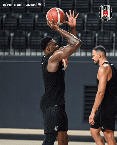 Ante Zizic GIF