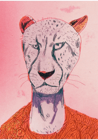 Tiger Wildlife GIF by phildekem