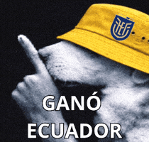 Ecuador La Tri GIF