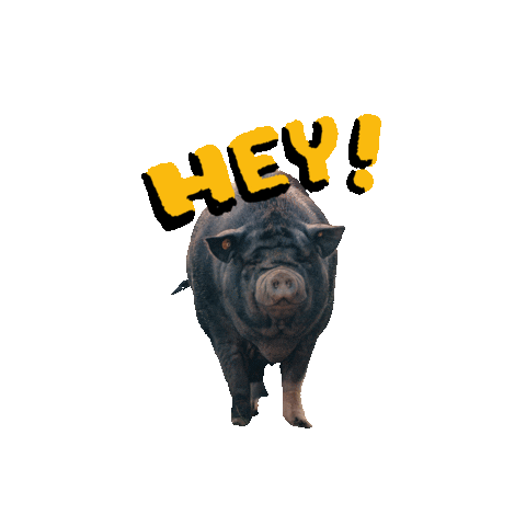 Tierpark Sababurg Sticker