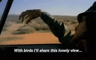 umbertobaldacci #red #hot #scar #tissue #desert #frusciante GIF