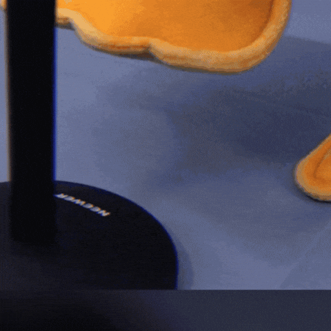 Duck GIF