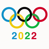 Olympic Games Olympics GIF by sylterinselliebe