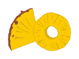 Pineapple Slice Sticker