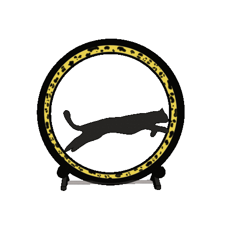 K9 Ballistics | One Fast Cat Sticker