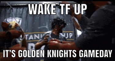 Golden Knights GIF
