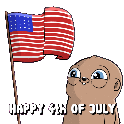America Flag Sticker by Fugz Official