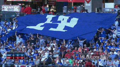 Go Dodgers GIFs