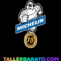 Michelin Neumaticos GIF by Tallerbarato.com