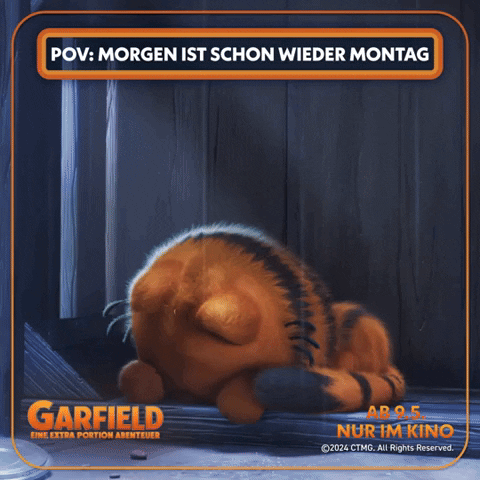 Cat Monday GIF by Sony Pictures Germany