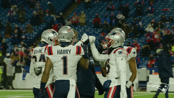 GIF by New England Patriots
