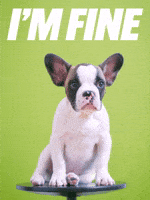 No Worries Crying GIF by Sealed With A GIF