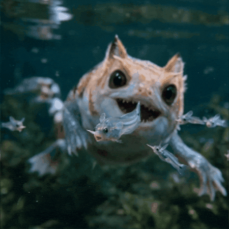 Run Away Catch Up GIF