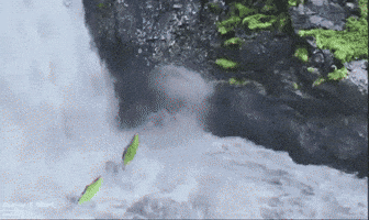 Mahesh Babu Bollywood GIF