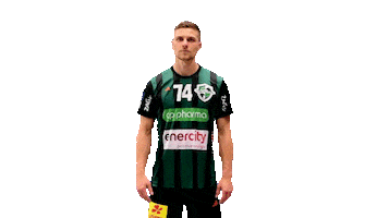 Sport Handball Sticker by DIE RECKEN