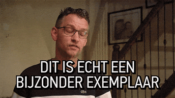 Bed And Breakfast Bb GIF by RTL