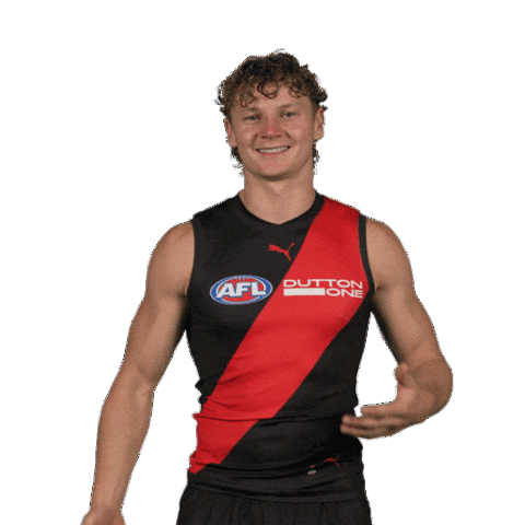 Dons Bombers Sticker by Essendon FC